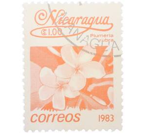 Почтовая марка 1 кордоба 1983 года Никарагуа «Плюмерия красная» — Фото №1