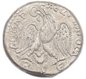 Тетрадрахма 217-218 года Римская Империя — Макрин (Киррестика / Бероя) — Фото №2