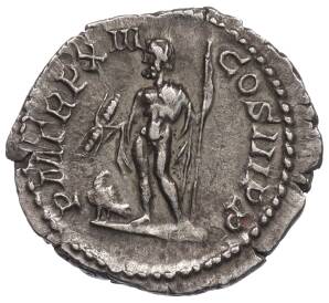 Денарий 193-211 года Римская Империя — Септимий Север — Фото №2