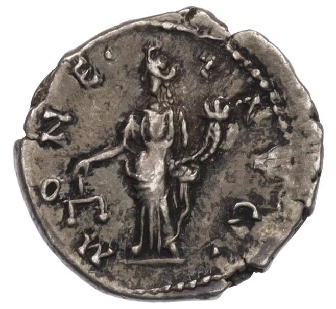 Монета Денарий 193-211 года Римская Империя — Септимий Север (Артикул: K2-0802) — Фото №2