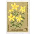 Почтовая марка 5 стотинок 1981 года Болгария «Зверобой продырявленный» (Артикул: K12-77089) — Фото №1