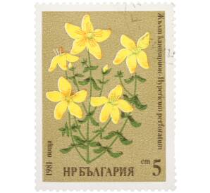 Почтовая марка 5 стотинок 1981 года Болгария «Зверобой продырявленный» — Фото №1