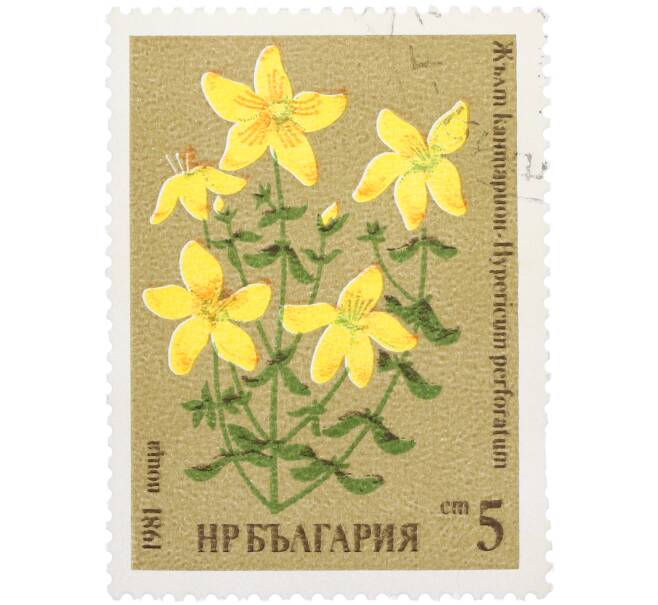Почтовая марка 5 стотинок 1981 года Болгария «Зверобой продырявленный» (Артикул: K12-77089) — Фото №1