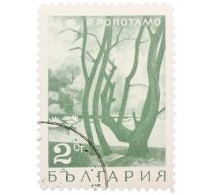 Почтовая марка 2 стотинки 1968 года Болгария «Устье реки Ропотамо» — Фото №1