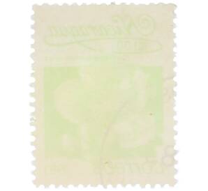 Почтовая марка 1 кордоба 1983 года Никарагуа «Кохлоспермум» — Фото №2