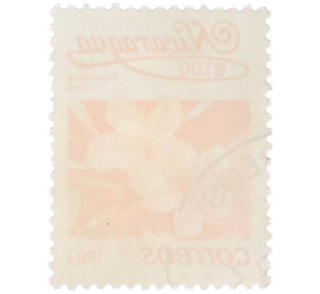 Почтовая марка 1 кордоба 1983 года Никарагуа «Плюмерия красная» (Артикул: T11-38059) — Фото №2