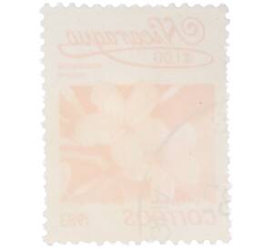 Почтовая марка 1 кордоба 1983 года Никарагуа «Плюмерия красная» — Фото №2