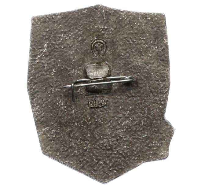 Значок «Новороссийск» (Артикул: T11-38102) — Фото №2