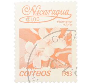 Почтовая марка 1 кордоба 1983 года Никарагуа «Плюмерия красная» — Фото №1