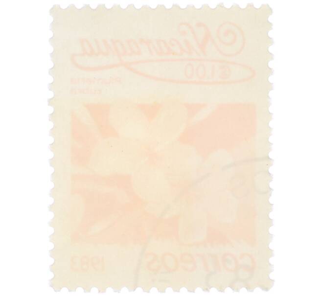 Почтовая марка 1 кордоба 1983 года Никарагуа «Плюмерия красная» (Артикул: T11-38124) — Фото №2