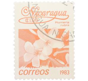 Почтовая марка 1 кордоба 1983 года Никарагуа «Плюмерия красная» — Фото №1