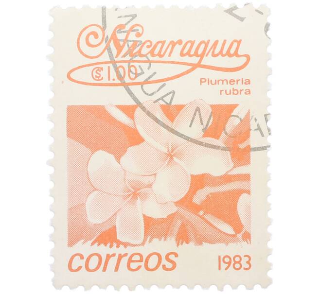 Почтовая марка 1 кордоба 1983 года Никарагуа «Плюмерия красная» (Артикул: T11-38126) — Фото №1