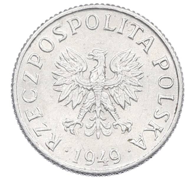 Монета 1 грош 1949 года Польша (Артикул: K12-77626) — Фото №1