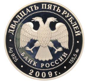 25 рублей 2009 года ММД «Наследие ЮНЕСКО — Великий Новгород и окрестности (Антониев монастырь)» — Фото №2