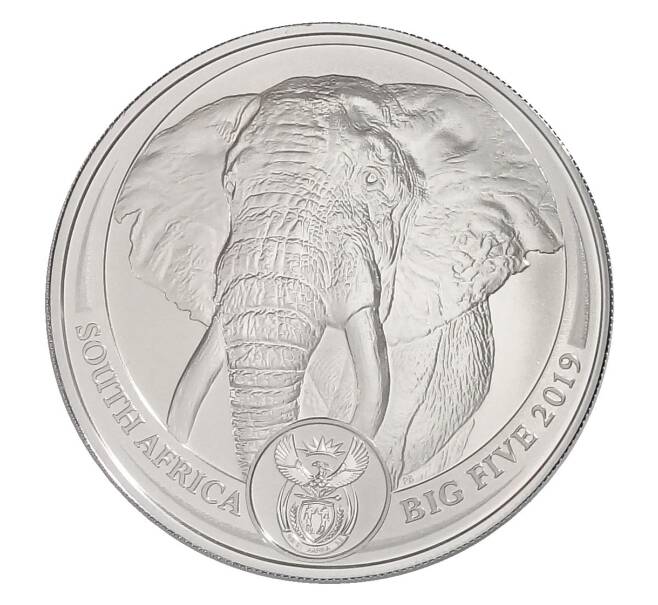 Монета 5 рэндов 2019 года ЮАР «Большая Пятерка — Африканский Слон» (в буклете) (Артикул M2-34524)