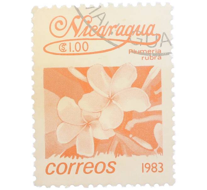 Почтовая марка 1 кордоба 1983 года Никарагуа «Плюмерия красная» (Артикул: T11-39093) — Фото №1