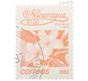 Почтовая марка 1 кордоба 1983 года Никарагуа «Плюмерия красная» — Фото №1