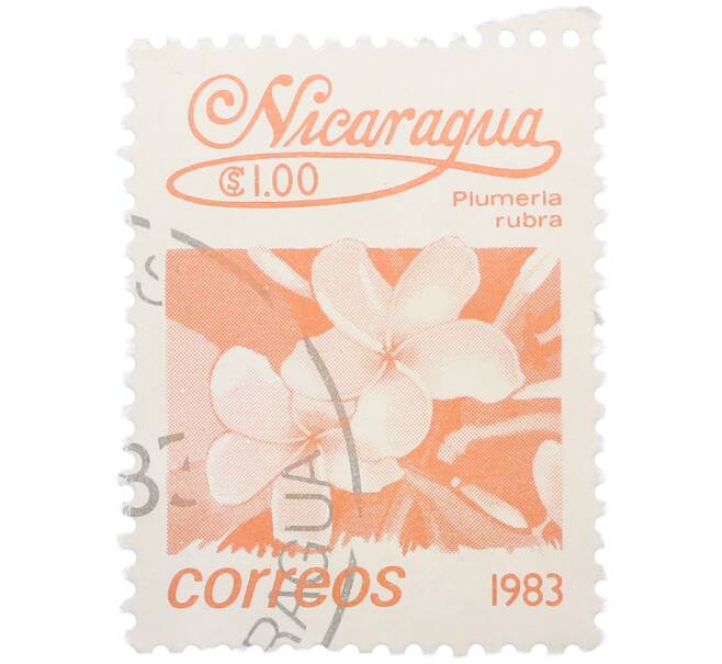 Почтовая марка 1 кордоба 1983 года Никарагуа «Плюмерия красная» (Артикул: T11-39101) — Фото №1