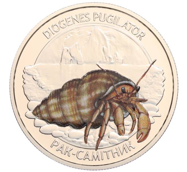 Монета 5 гривен 2025 года Украина «Глубоководные обитатели — Рак-отшельник (Обитатели Черного моря)» (Артикул: M2-92216) — Фото №1