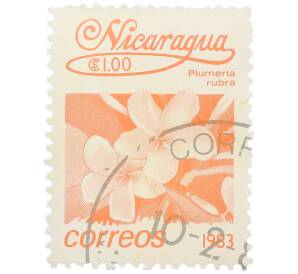 Почтовая марка 1 кордоба 1983 года Никарагуа «Плюмерия красная» — Фото №1
