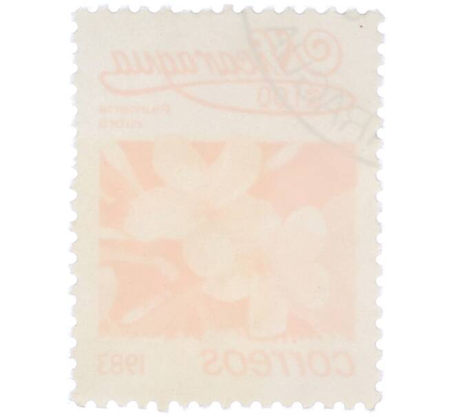 Почтовая марка 1 кордоба 1983 года Никарагуа «Плюмерия красная» (Артикул: T11-39363) — Фото №2