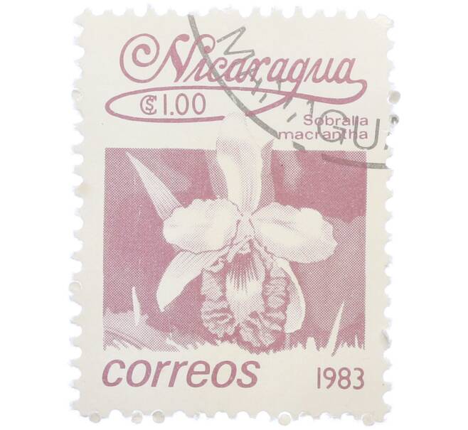 Почтовая марка 1 кордоба 1983 года Никарагуа «Собралия крупноцветковая» (Артикул: T11-39375) — Фото №1