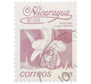 Почтовая марка 1 кордоба 1983 года Никарагуа «Собралия крупноцветковая» — Фото №1