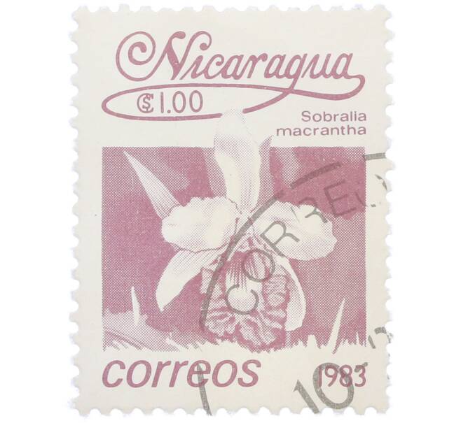 Почтовая марка 1 кордоба 1983 года Никарагуа «Собралия крупноцветковая» (Артикул: T11-39376) — Фото №1