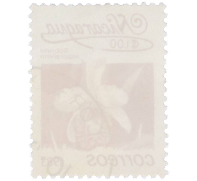 Почтовая марка 1 кордоба 1983 года Никарагуа «Собралия крупноцветковая» (Артикул: T11-39376) — Фото №2