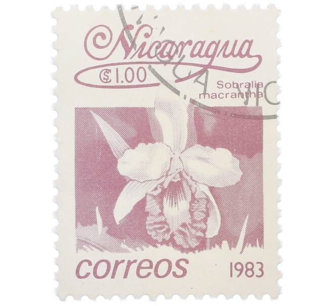 Почтовая марка 1 кордоба 1983 года Никарагуа «Собралия крупноцветковая» (Артикул: T11-39377) — Фото №1