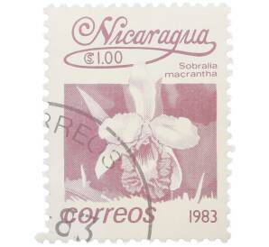 Почтовая марка 1 кордоба 1983 года Никарагуа «Собралия крупноцветковая» — Фото №1