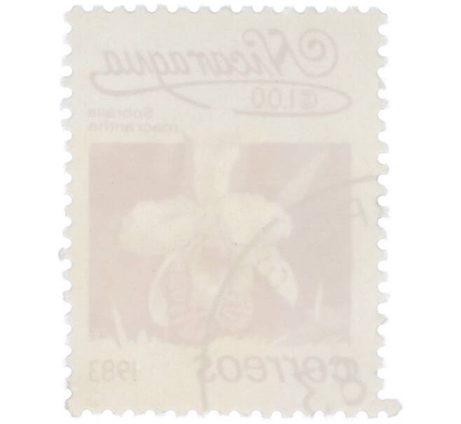 Почтовая марка 1 кордоба 1983 года Никарагуа «Собралия крупноцветковая» (Артикул: T11-39378) — Фото №2