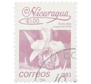 Почтовая марка 1 кордоба 1983 года Никарагуа «Собралия крупноцветковая» — Фото №1