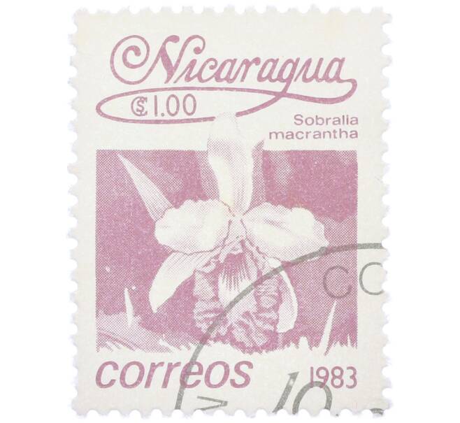 Почтовая марка 1 кордоба 1983 года Никарагуа «Собралия крупноцветковая» (Артикул: T11-39379) — Фото №1