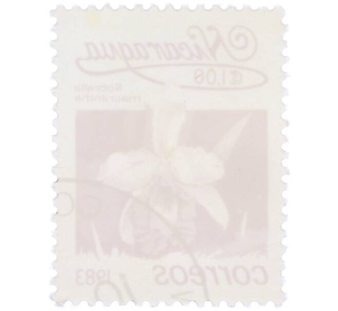 Почтовая марка 1 кордоба 1983 года Никарагуа «Собралия крупноцветковая» (Артикул: T11-39379) — Фото №2