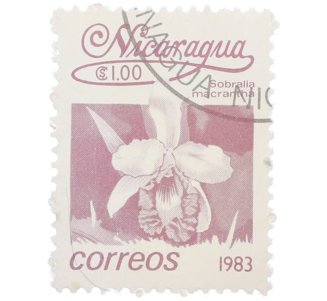 Почтовая марка 1 кордоба 1983 года Никарагуа «Собралия крупноцветковая» (Артикул: T11-39380) — Фото №1