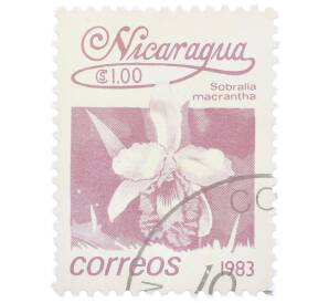 Почтовая марка 1 кордоба 1983 года Никарагуа «Собралия крупноцветковая» — Фото №1