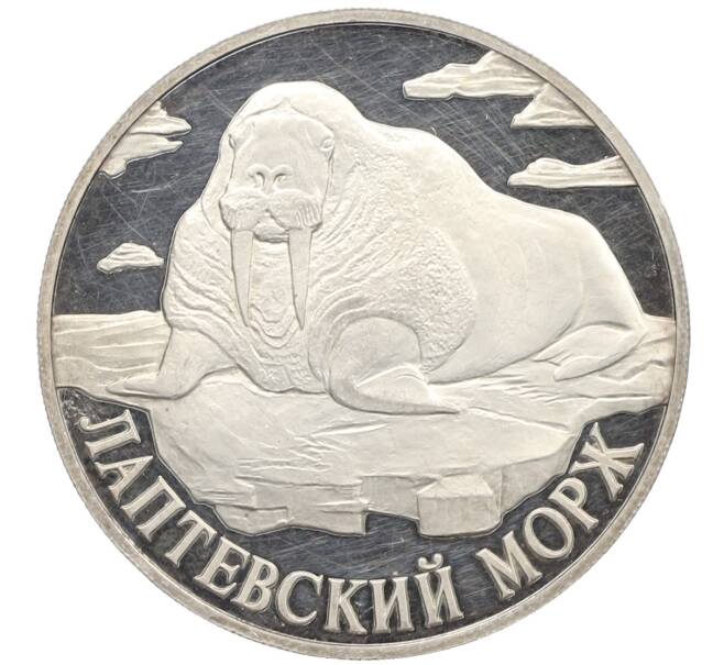 Монета 1 рубль 1998 года СПМД «Лаптиевский морж» (Артикул: K12-77807) — Фото №1