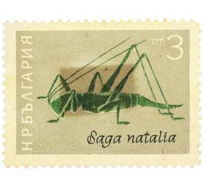 Почтовая марка 3 стотинки 1964 года Болгария «Кузнечик (Saga natalia)» — Фото №1