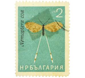 Почтовая марка 2 стотинки 1964 года Болгария «Нитекрылка (Nemoptera coa)» — Фото №1