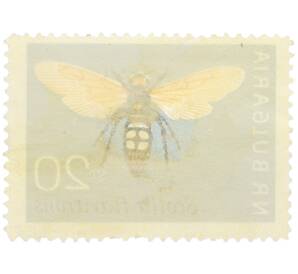 Почтовая марка 20 стотинок 1964 года Болгария «Сколия флавитронс (Scolia flavitrons)» — Фото №2