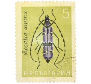 Почтовая марка 5 стотинок 1964 года Болгария «Альпийский усач (Rosalia alpina)» — Фото №1