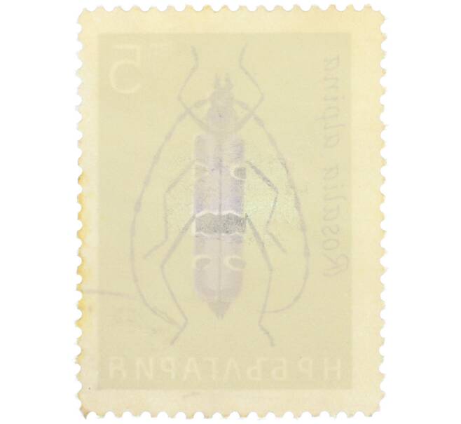Почтовая марка 5 стотинок 1964 года Болгария «Альпийский усач (Rosalia alpina)» (Артикул: P2-1172) — Фото №2