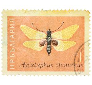 Почтовая марка 1 стотинка 1964 года Болгария «Аскалаф отоманус (Ascalaphus otomanus)» — Фото №1