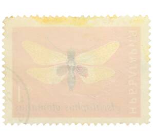 Почтовая марка 1 стотинка 1964 года Болгария «Аскалаф отоманус (Ascalaphus otomanus)» — Фото №2