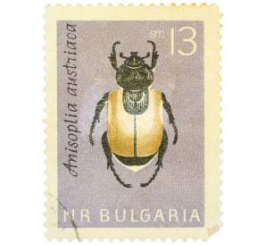 Почтовая марка 13 стотинок 1964 года Болгария «Хлебный жук (Anisoplia austriaca)» — Фото №1
