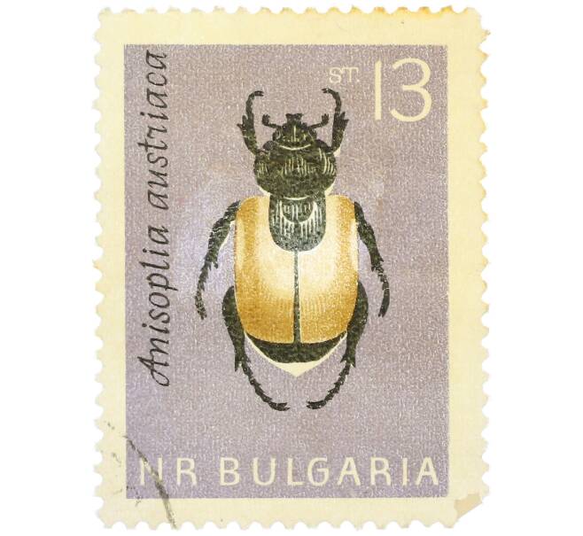 Почтовая марка 13 стотинок 1964 года Болгария «Хлебный жук (Anisoplia austriaca)» (Артикул: P2-1174) — Фото №1