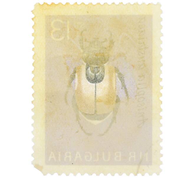 Почтовая марка 13 стотинок 1964 года Болгария «Хлебный жук (Anisoplia austriaca)» (Артикул: P2-1174) — Фото №2