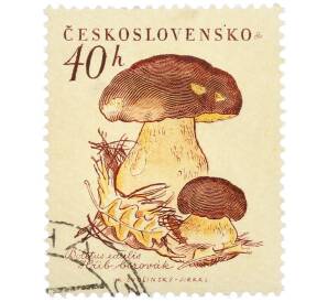 Почтовая марка 40 геллеров 1958 года Чехословакия «Грибы — Белый гриб» — Фото №1