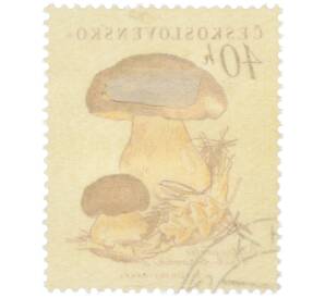 Почтовая марка 40 геллеров 1958 года Чехословакия «Грибы — Белый гриб» — Фото №2